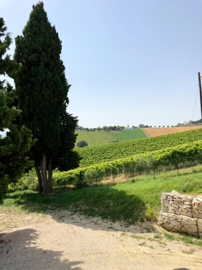 B&B Santa Caterina Acquaviva Picena Exteriér fotografie