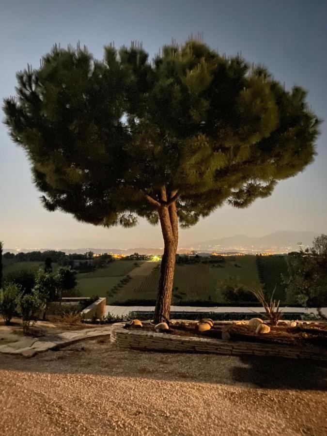 B&B Santa Caterina Acquaviva Picena Exteriér fotografie