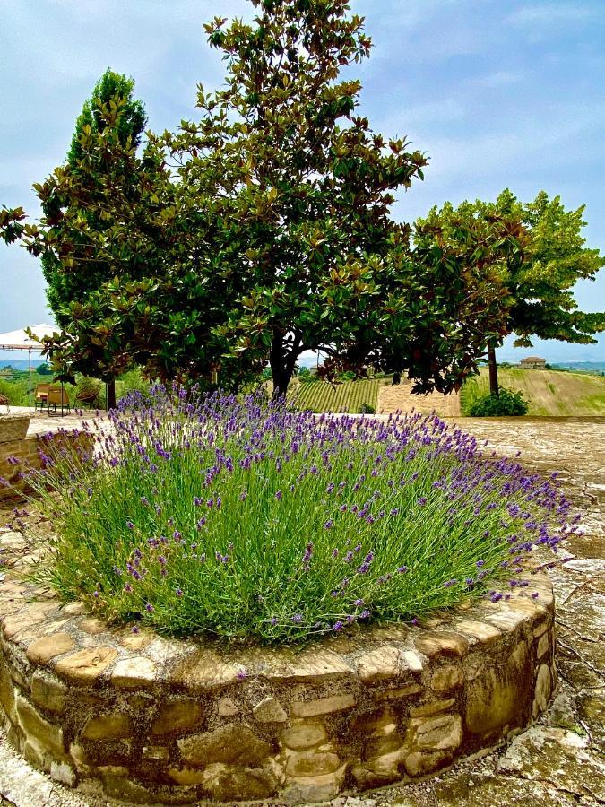 B&B Santa Caterina Acquaviva Picena Exteriér fotografie