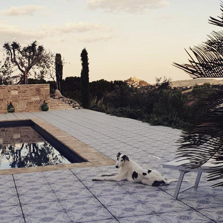 B&B Santa Caterina Acquaviva Picena Exteriér fotografie